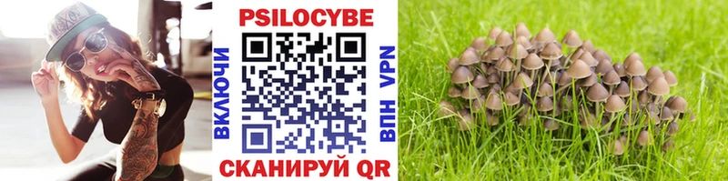 Псилоцибиновые грибы Psilocybe  закладка  Томилино 